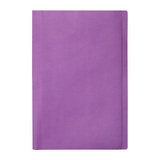 Marbig Manilla Folders Foolscap Purple Bx100